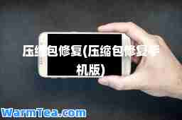 压缩包修复(压缩包修复手机版)