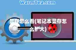 显存怎么看(笔记本显存怎么扩大)