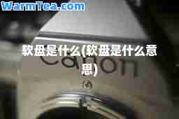 软盘是什么(软盘是什么意思)
