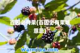 百因必有果(百因必有果啥意思)