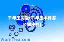 千年虫问题(千年虫事件怎么解决的)