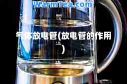 气体放电管(放电管的作用)