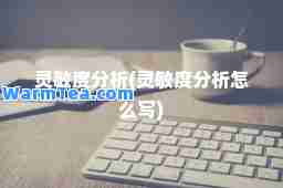 灵敏度分析(灵敏度分析怎么写)