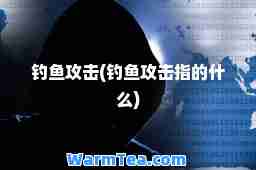 钓鱼攻击(钓鱼攻击指的什么)
