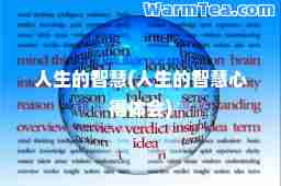 人生的智慧(人生的智慧心得体会)