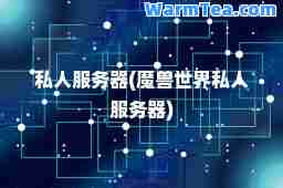 私人服务器(魔兽世界私人服务器)