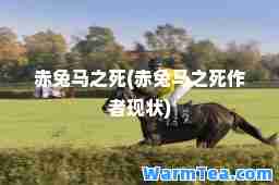 赤兔马之死(赤兔马之死作者现状)