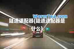 隧道适配器(隧道适配器是什么)