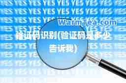 验证码识别(验证码是多少告诉我)