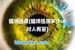 磁场强度(磁场强度多少ut对人有害)