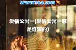 爱情公寓一(爱情公寓一菲是谁演的)