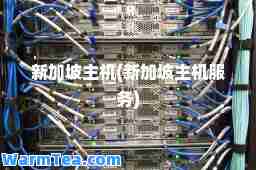 新加坡主机(新加坡主机服务) 新加坡主机(新加坡主机服务)