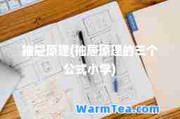 抽屉原理(抽屉原理的三个公式小学)
