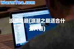 浪潮之巅(浪潮之巅适什么人看)