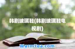 韩剧玻璃鞋(韩剧玻璃鞋电视剧)