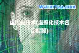 虚拟化技术(虚拟化技术名词解释)
