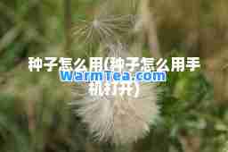 种子怎么用(种子怎么用手机打开)