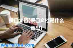 接口文档(接口文档是什么意思)