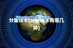 分集技术(分集技术有哪几种)
