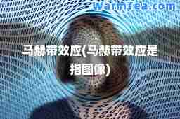 马赫带效应(马赫带效应是指图像)