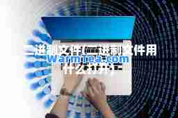 二进制文件(二进制文件用什么打开)