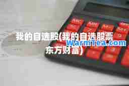 我的自选股(我的自选股票东方财富)
