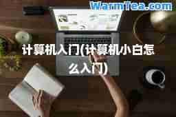 计算机入门(计算机小白怎么入门)