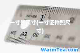 一寸照尺寸(一寸证件照尺寸)