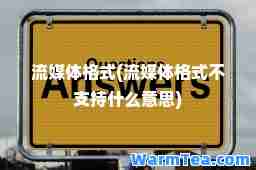 流媒体格式(流媒体格式不支持什么意思)