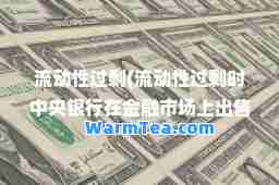 流动性过剩(流动性过剩时中央银行在金融市场上出售国债)
