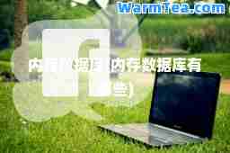 内存数据库(内存数据库有哪些)