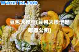 豆包大模型(豆包大模型是哪家公司)