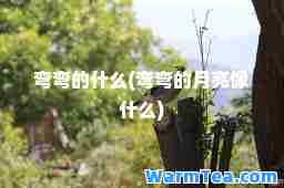 弯弯的什么(弯弯的月亮像什么)