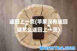 返回上一页(苹果没有返回键怎么返回上一页)