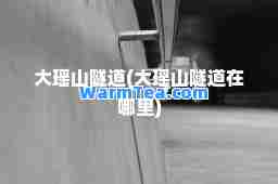 大瑶山隧道(大瑶山隧道在哪里)