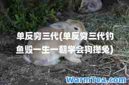 单反穷三代(单反穷三代钓鱼毁一生一朝学会狗撵兔)