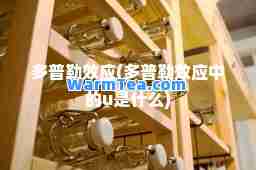 多普勒效应(多普勒效应中的u是什么)