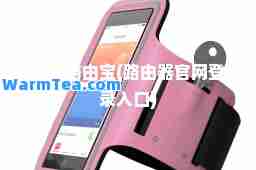 优酷路由宝(路由网登录入口) 优酷路由宝(路由网登录入口)