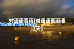 对潇潇暮雨(对潇潇暮雨洒江天)