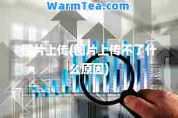 图片上传(图片上传不了什么原因)