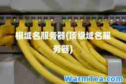 根域名服务器(域名服务器)