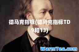 德马克指标(德马克指标TD9和13)