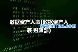 数据资产入表(数据资产入表 财政部)