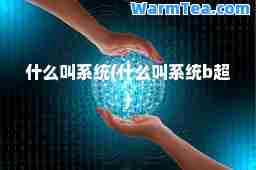 什么叫系统(什么叫系统b超)