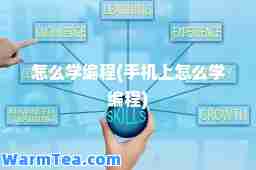 怎么学编程(手机上怎么学编程)