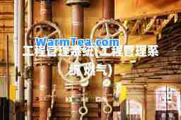 工程管理系统(工程管理系统 燃气)