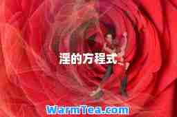淫的方程式