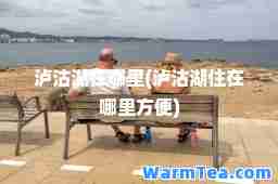 泸沽湖在哪里(泸沽湖住在哪里方便)