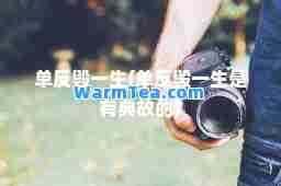 单反毁一生(单反毁一生是有典故的)