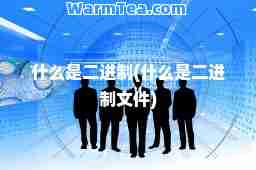 什么是二进制(什么是二进制文件)